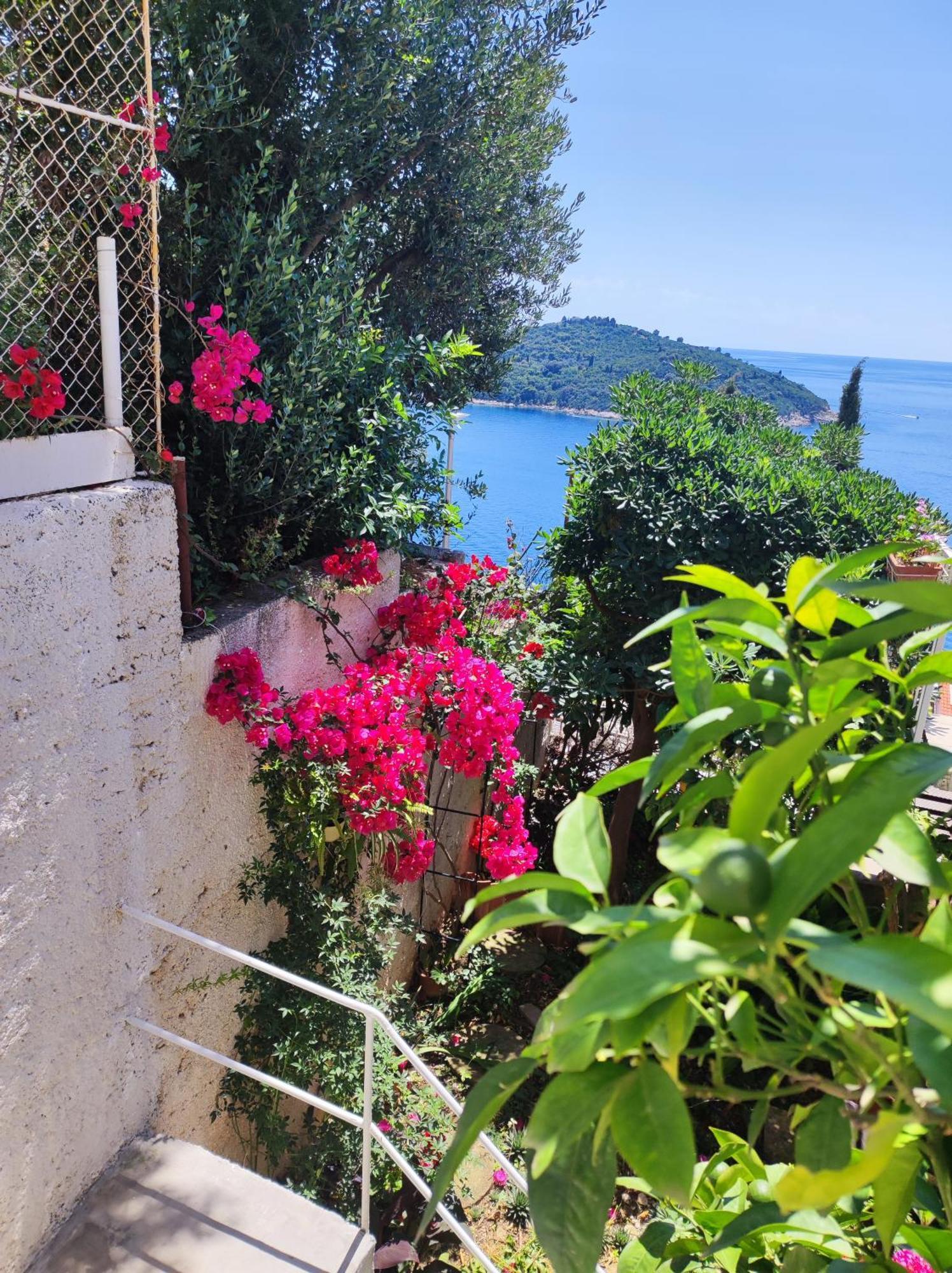 Apartment Agneza Dubrovnik Exteriör bild